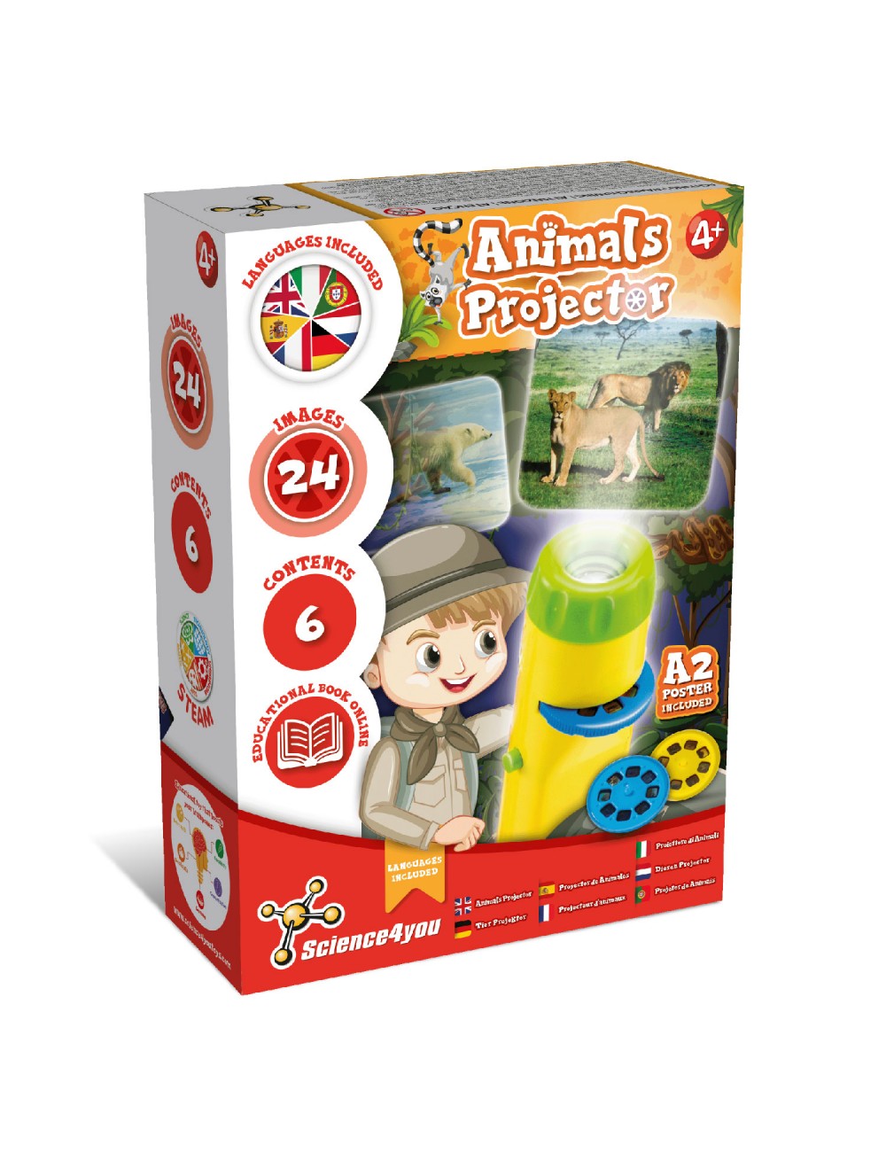 Proyector de tobogán de dibujos animados para niños, linterna de juguete de  Educación Temprana, linterna para