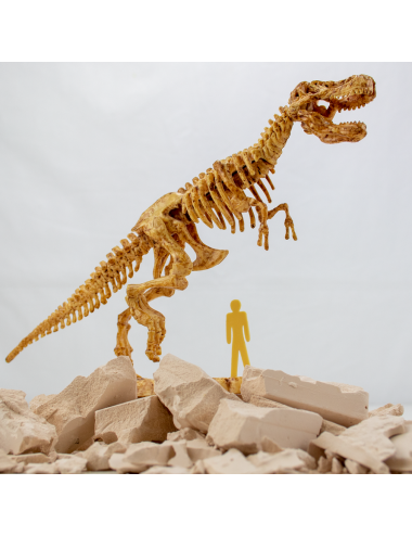 Juego Dinosaurio T-Rex 
Excavaciones