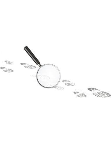 Laboratorio de Detectives