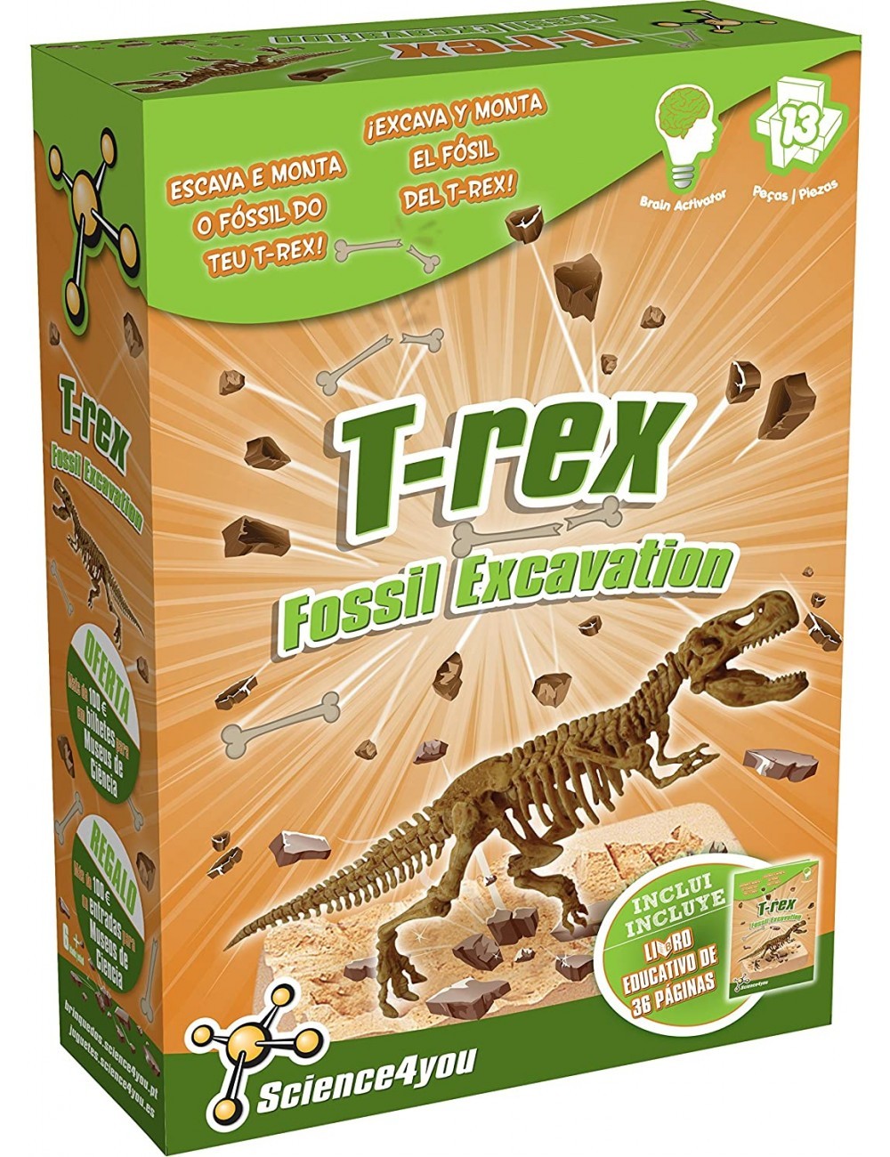 Excavaciones de Fósiles de T-Rex - Juguete Dinosaurios para niños con 6+  años | Science4you